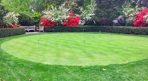 Backyard Golf Green