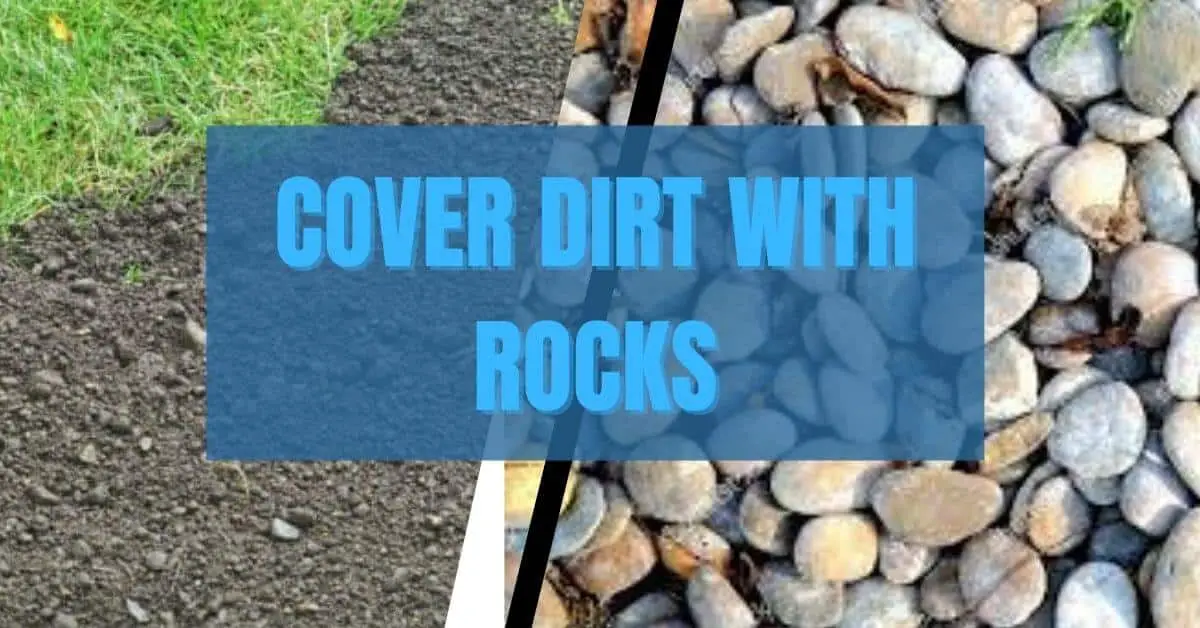 cover dirt with rocks