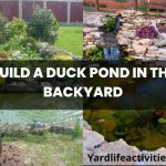 build a duck pond in the backyard