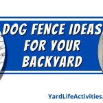 Dog Fence Ideas for Your Backyard